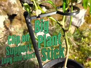 Big Plant Stick with Click-On Plant Holder