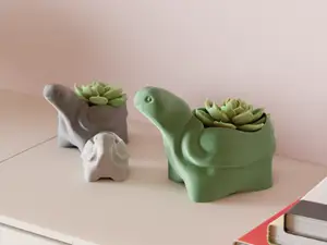 Tortoise Plant Pot. Great succulent planter