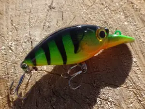 Crankbait 
