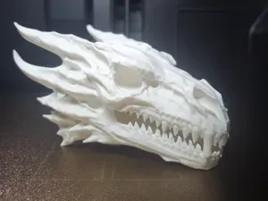 Dragon skull model