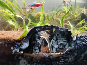 Atlantis Cave — Pet feeder for slow fish