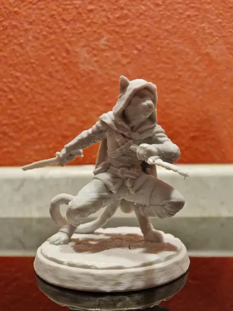 Tabaxi Rogue - Catfolk Assassin & Dual Daggers — Фото 4 из 4