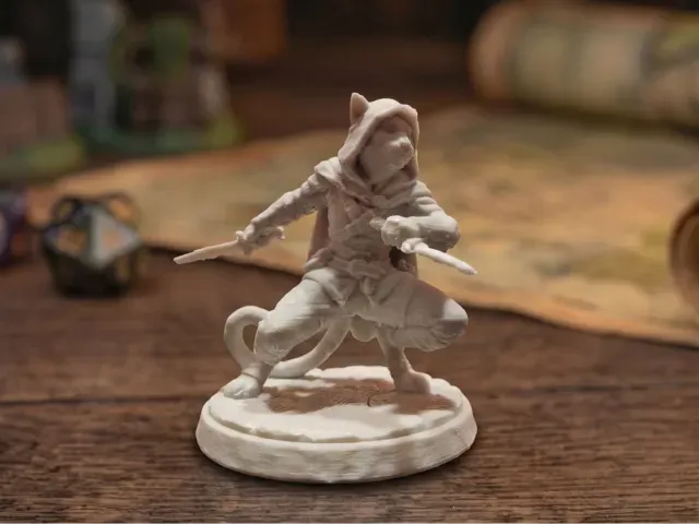 Tabaxi Rogue - Catfolk Assassin & Dual Daggers
