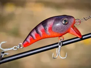 Print->Knot->Fish! Easiest Wakebait fishing lure