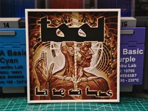 Tool "Lateralus" Album - Hueforge Art