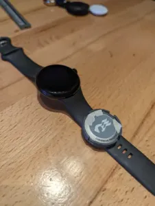 Princess Cruises- Medallion watch holder