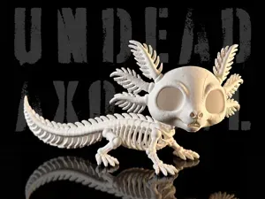 The Undead Axolotl Skeleton