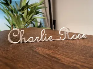 3D Printable Name Display (Charlie Rose)