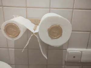 Toilet paper holder V1