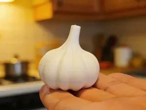 【蒜鸟蒜鸟】好新鲜的大蒜！