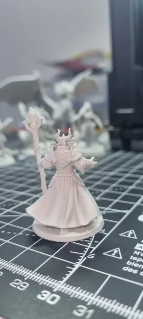 Sorcerer Dragonborn Male D&D Miniature (45mm) — Фото 6 из 10