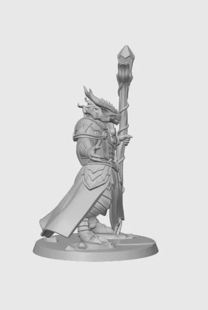 Sorcerer Dragonborn Male D&D Miniature (45mm) — Фото 8 из 10