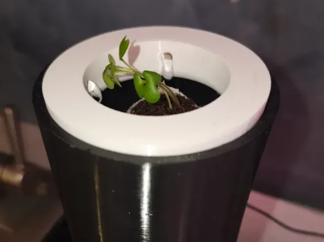 HydroVase - Leak-Free Self-Watering Planter
