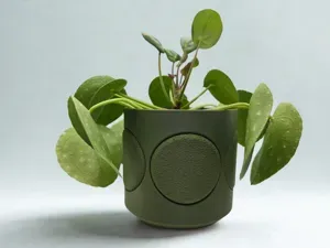 Fuzzy Planter pot