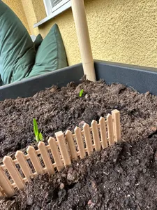 Garden Fence Pot Divider