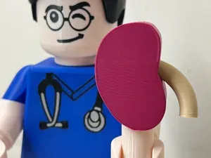 Big Brick * Kidney