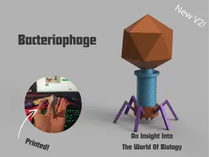 Small Bacteriophage Biology Model 