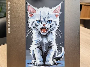 Angry Cat - Hueforge 136x235