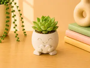 Mood Buddies Pot – Planter Collection | Love You