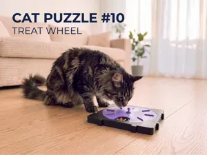 Cat Puzzle Feeder 10 Treat Wheel | Treat Spinner