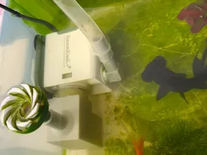 森森水泵改吸油膜-V2