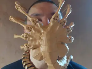 Facehugger body - remix