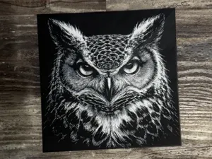 Owl HueForge Wildlife Series