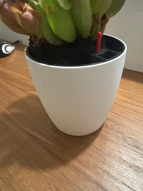 Vaso con indicatore d’acqua, piante sempre felici! — Фото 9 из 10