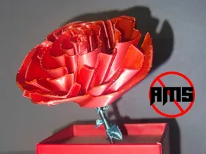 Rose éternelle – Cadeau de Saint‑Valentin - No AMS