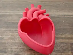 Anatomical Human Heart Bowl & Organizer