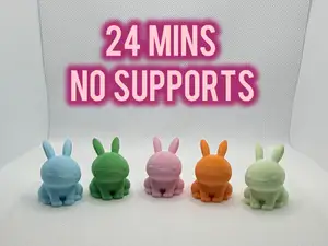 Cute Mini Rabbit