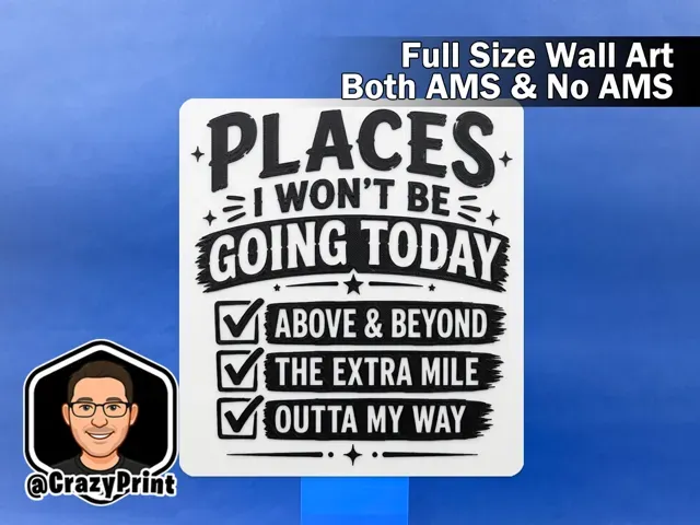 Funny Tell it How it Is Sign/ Wall Art - No AMS