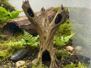Hohle Baum mit Ästen