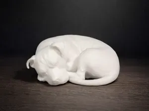 Cute Sleeping American PitBull terrier - dog