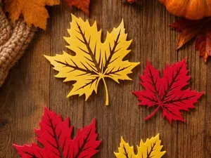 Maple leaf