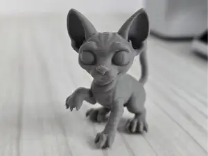 Sphynx Cat