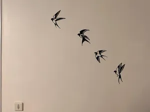 Wall Art - Birds