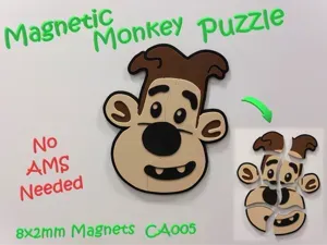 Magnetic Monkey Puzzle