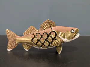 Articulated Walleye (Sander vitreus)