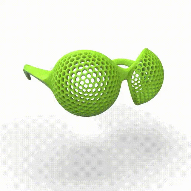 Compound eyes shades