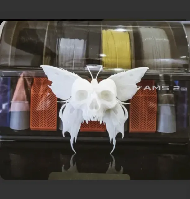 Papillon de la mort — Image 2 of 4