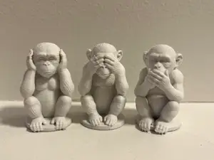 The Three Wise Monkeys