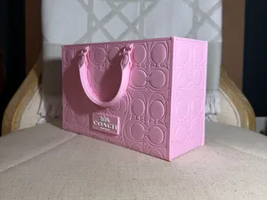 Coach Bag V2