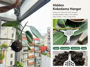Hidden Kokedama Hanger