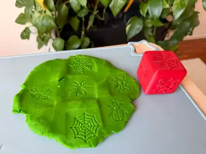 Insect Play-Doh cube/stamp