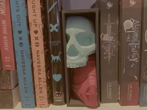 Lights out / Caught Up Book Nook (No AMS)