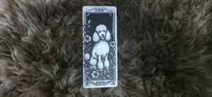Poodle Fluffy Elegance Dog Portrait Bookmark