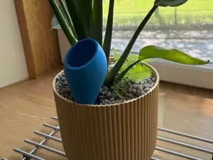 Plant & Moss Pole Watering Globes