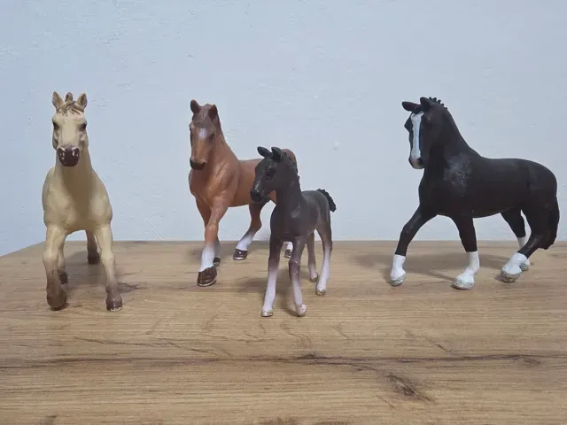 Horses — Image 8 of 8