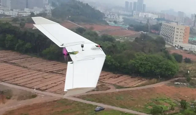 Breeze Model X [SUB250 FPV Flying Wings] RC plane — Image 2 of 12